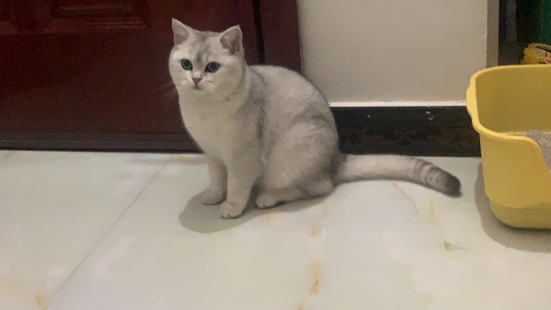 陪玩妹子软糖ﻬ的照片1