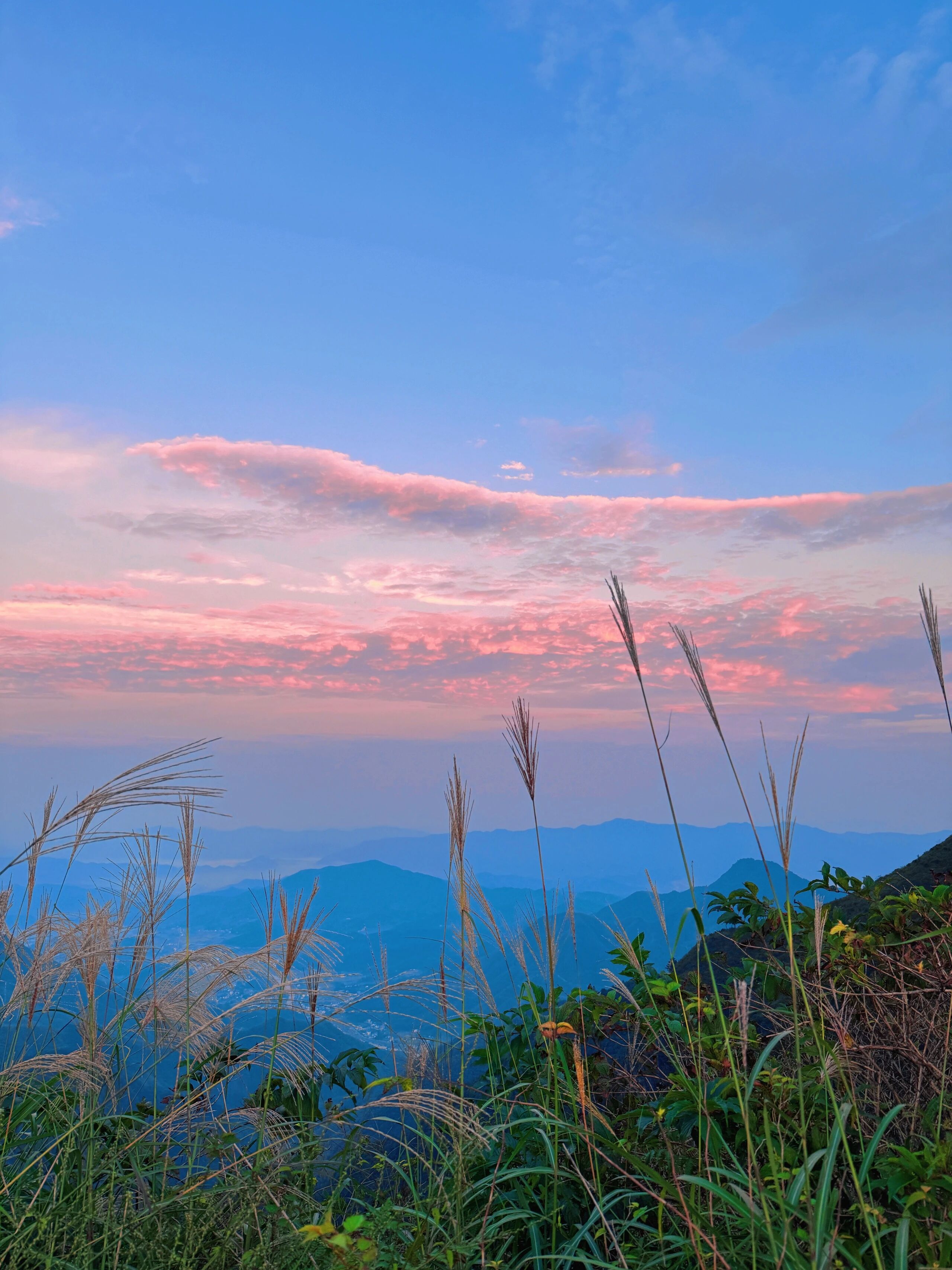 陪玩妹子爱笑的大梨子的照片4