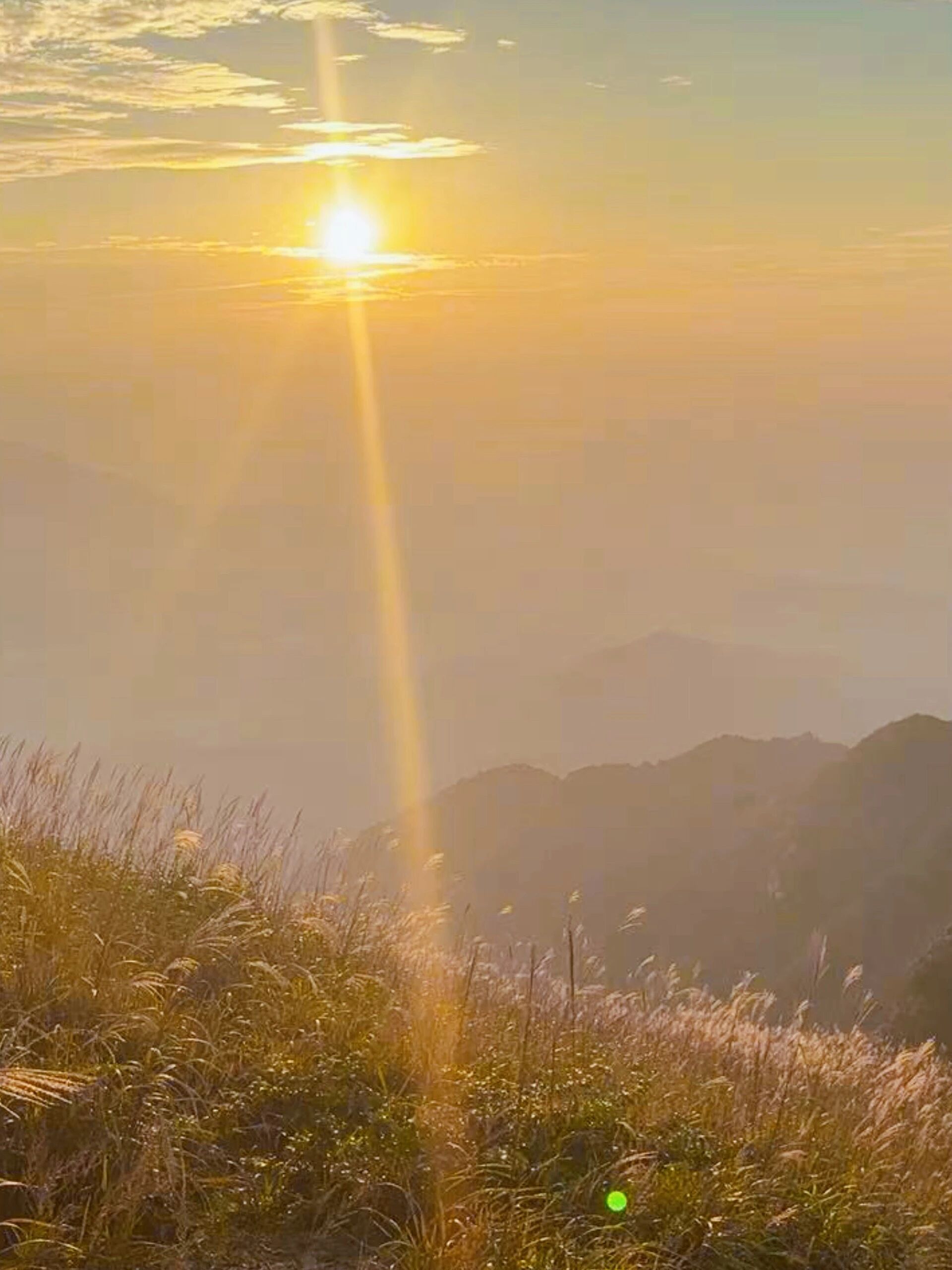 陪玩妹子爱笑的大梨子的照片1