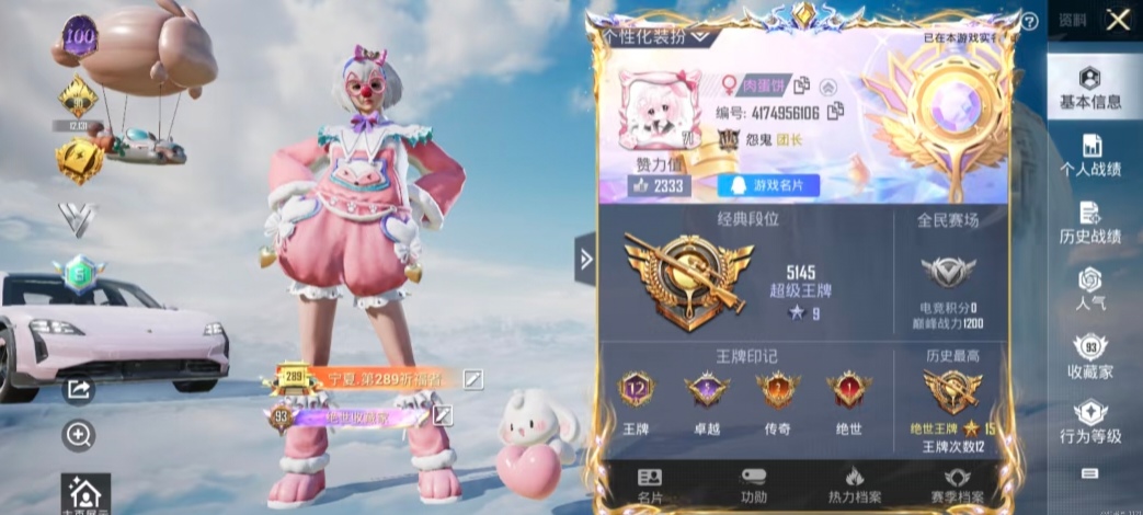 和平精英陪玩服务