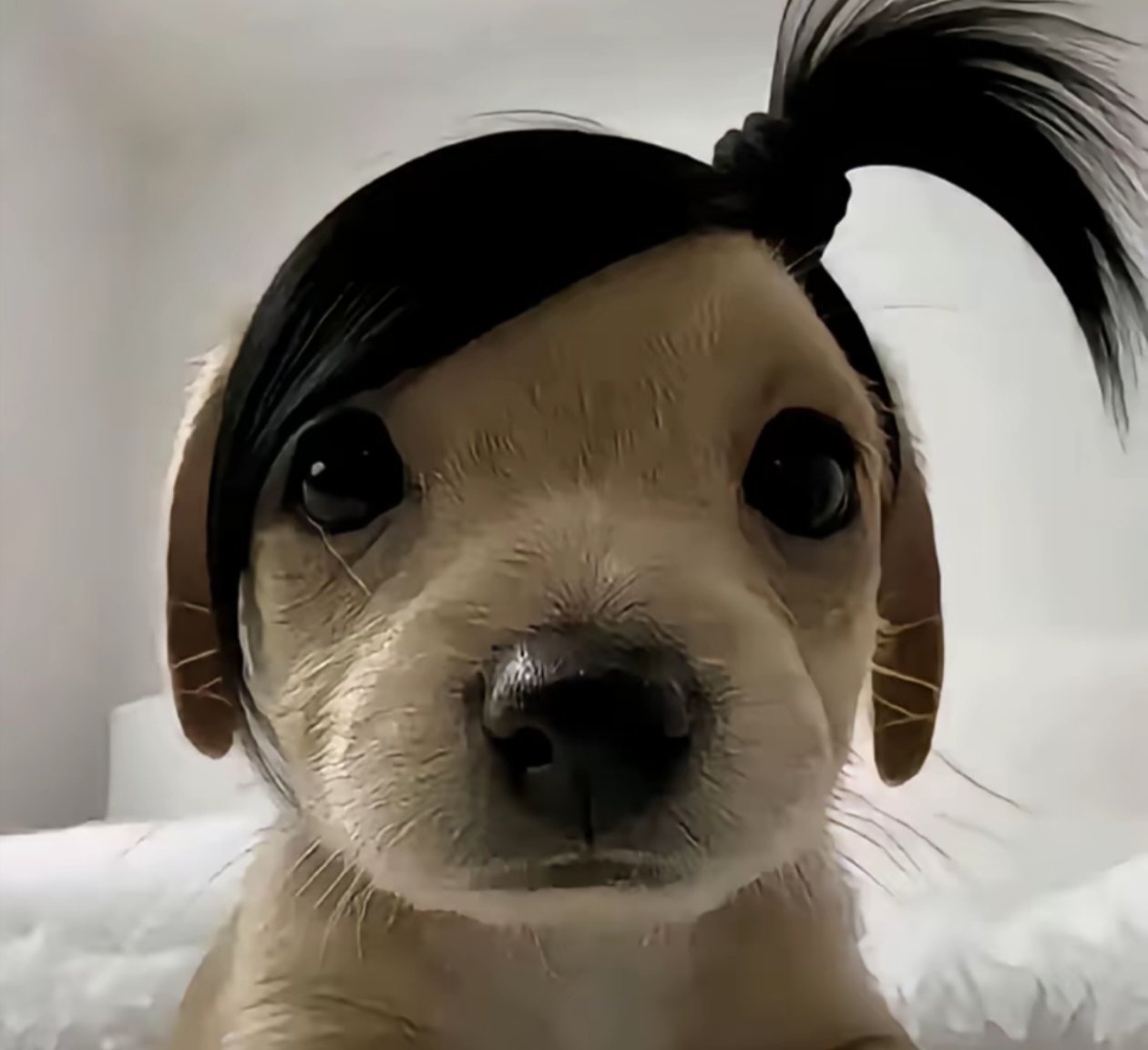 陪玩妹子莓树枝的照片1