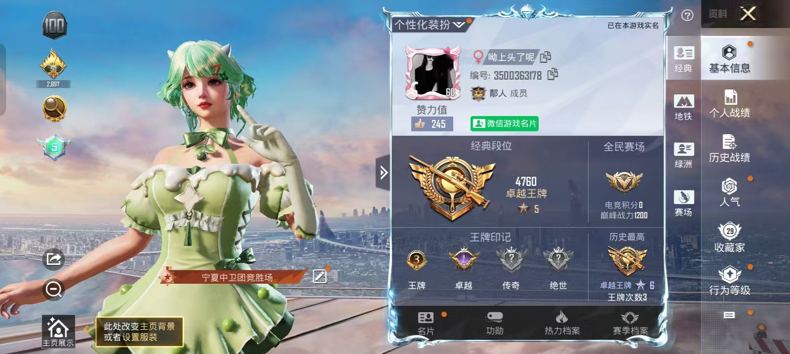 和平精英陪玩服务