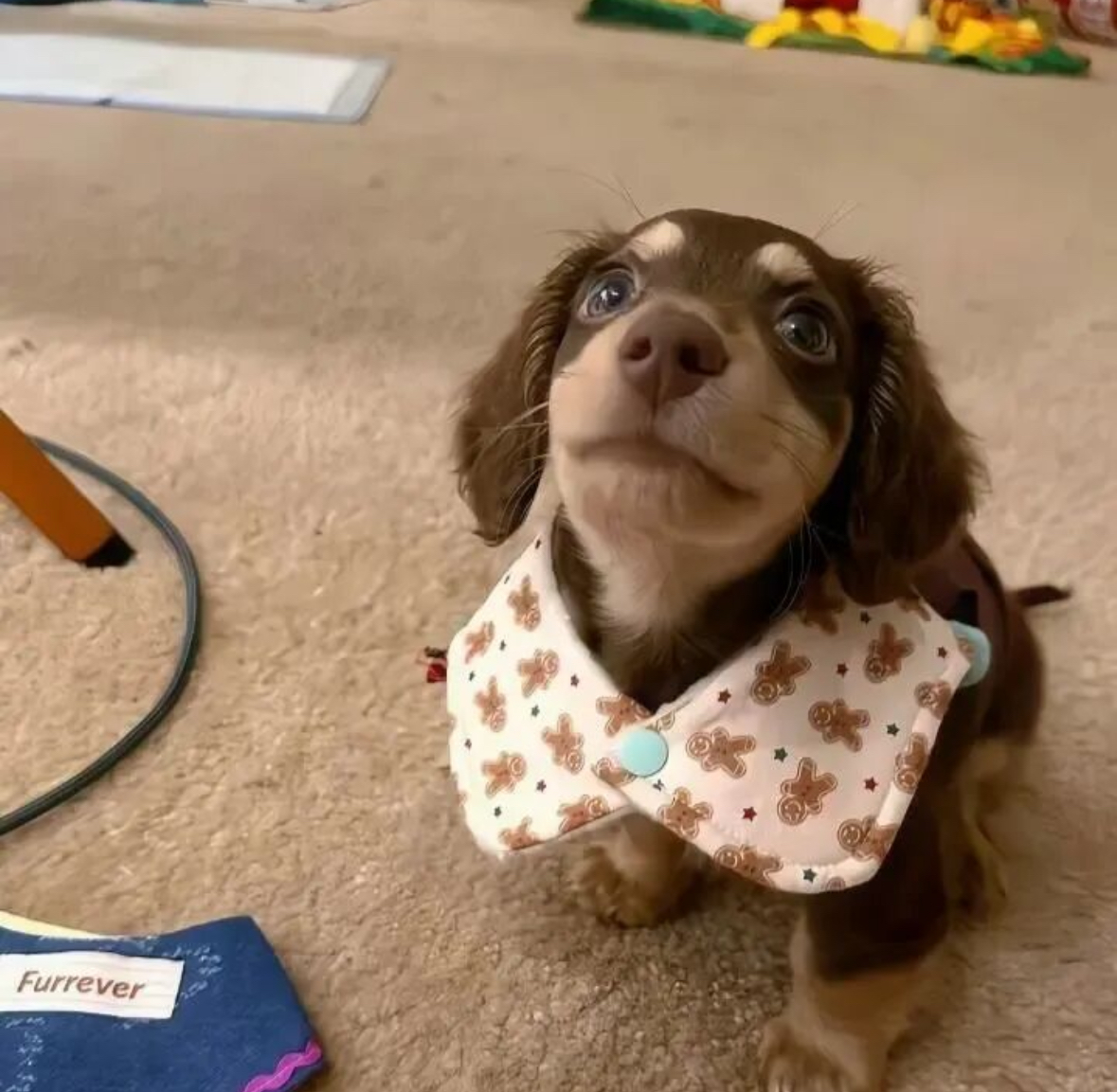 陪玩妹子不喜欢吃魚的照片1