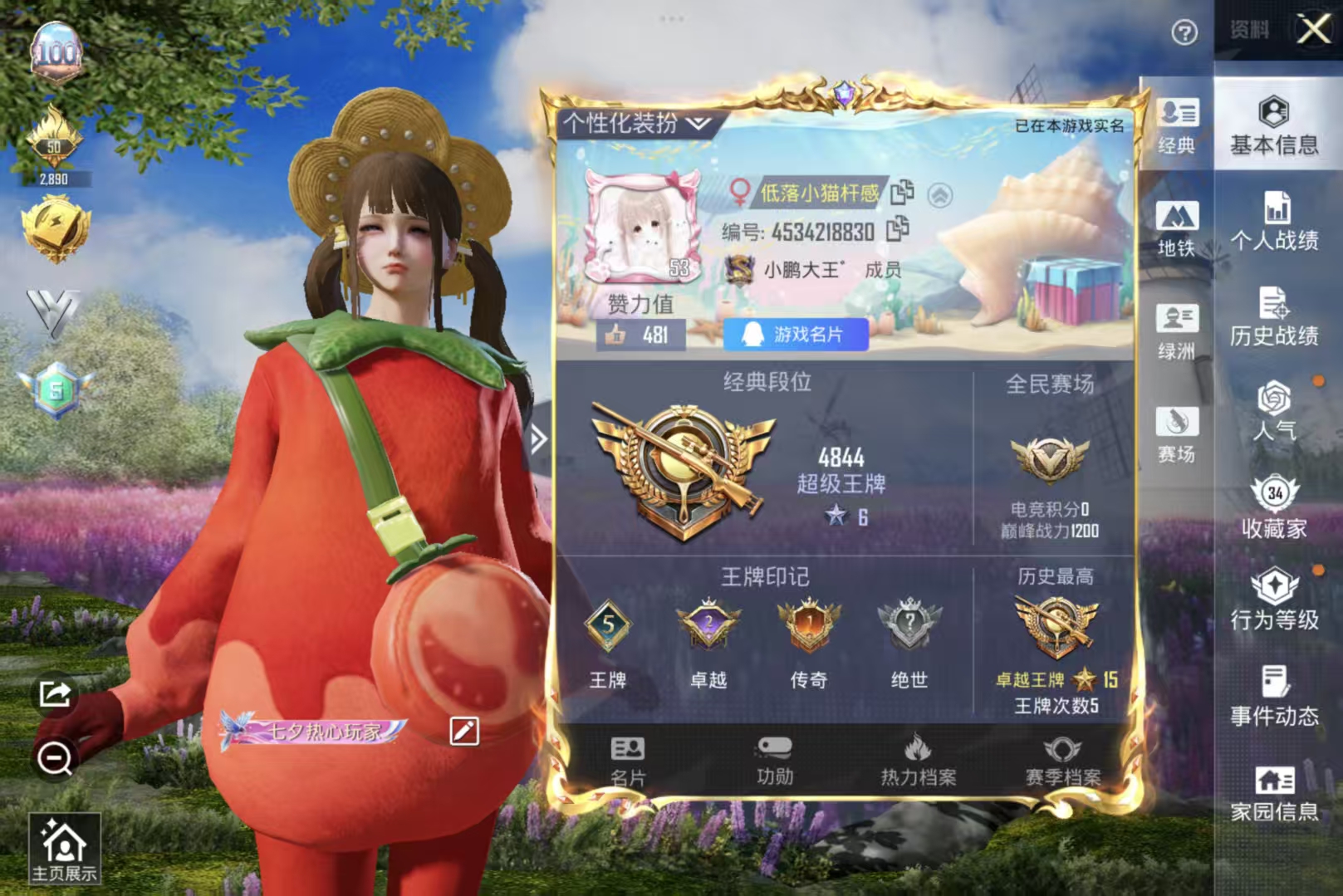 和平精英陪玩服务