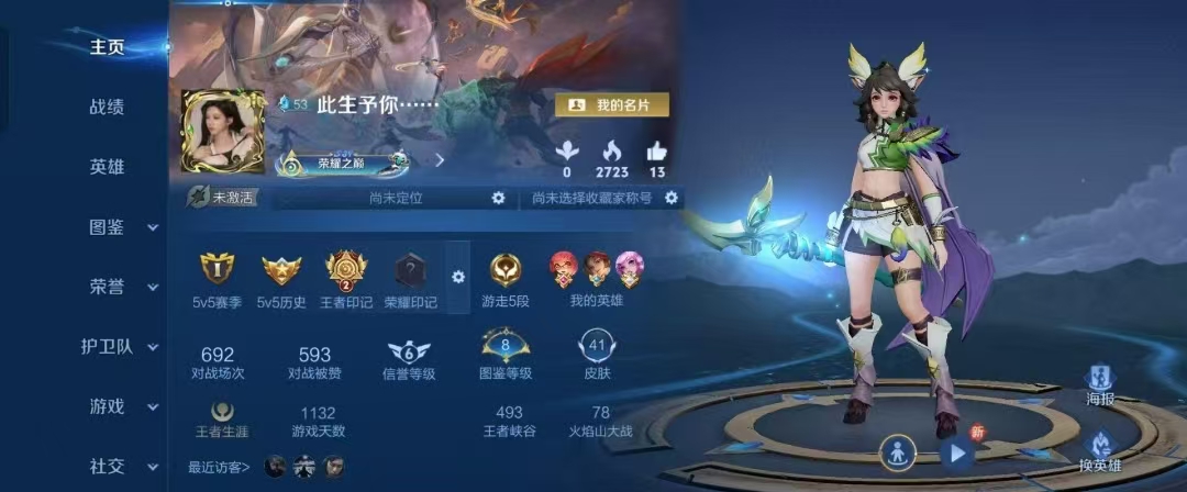 王者荣耀陪玩服务