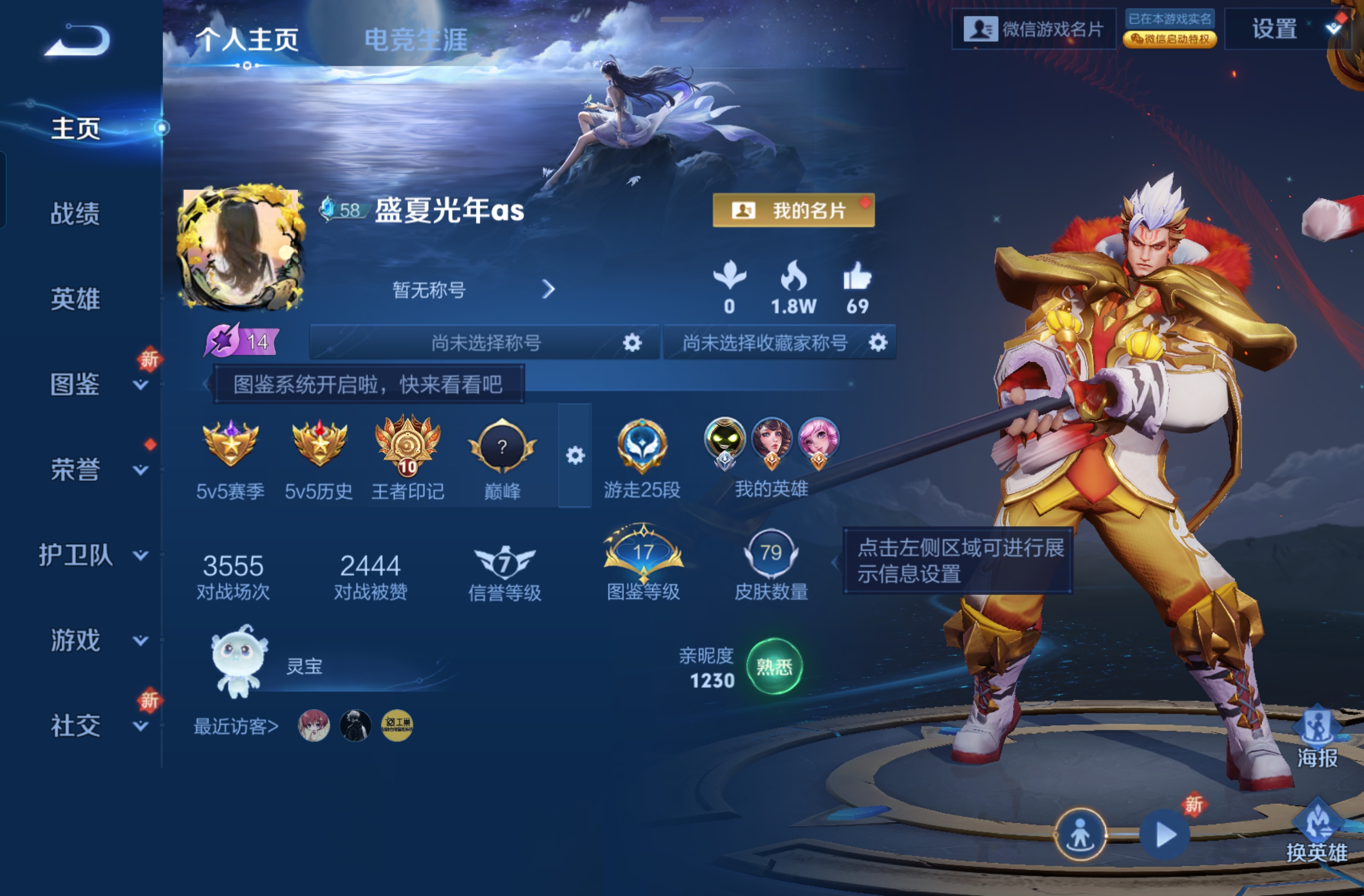 王者荣耀陪玩服务