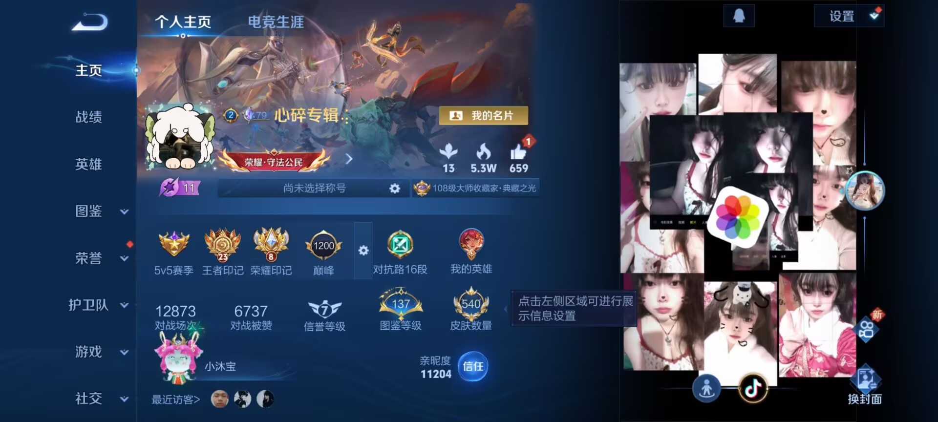 王者荣耀陪玩服务