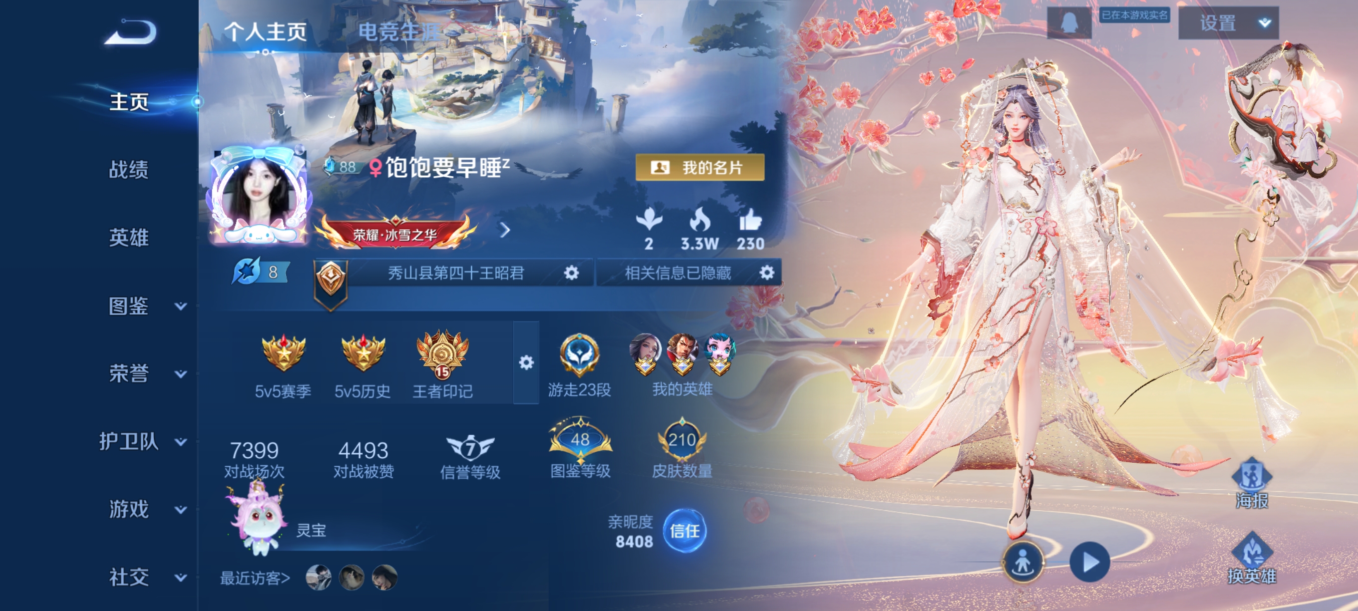 王者荣耀陪玩服务