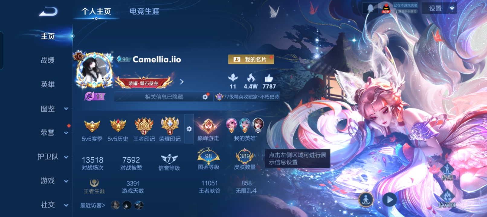 王者荣耀陪玩服务