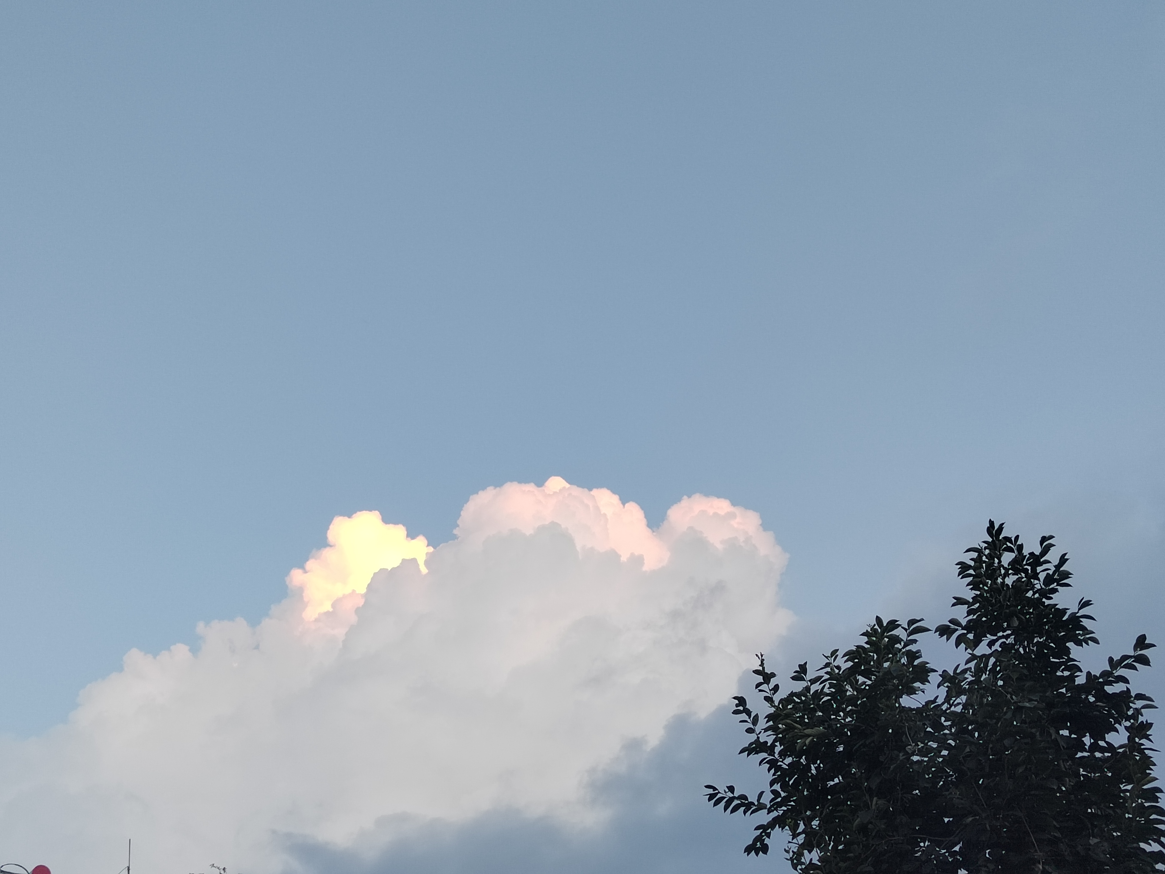 陪玩妹子嘉沐的照片1