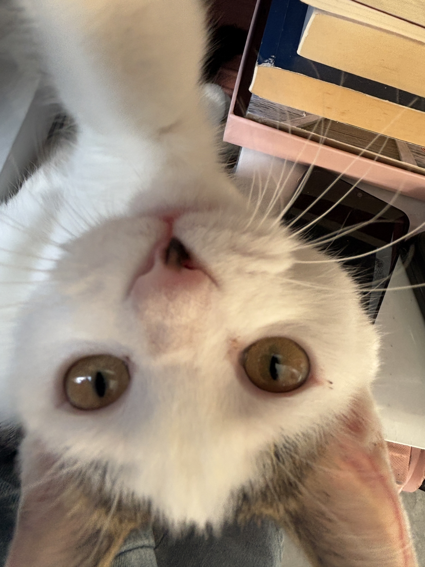 陪玩妹子看初雪003的照片3