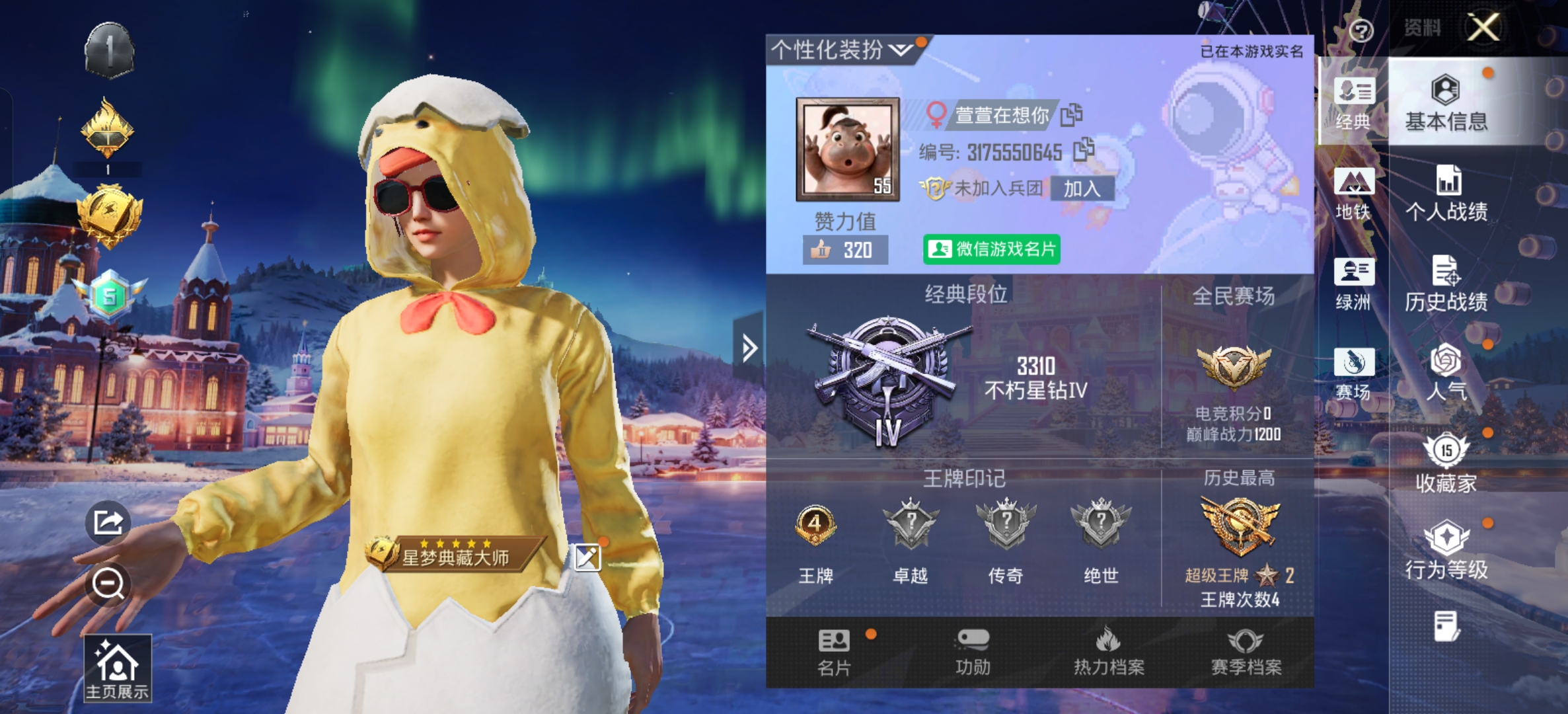 和平精英陪玩服务