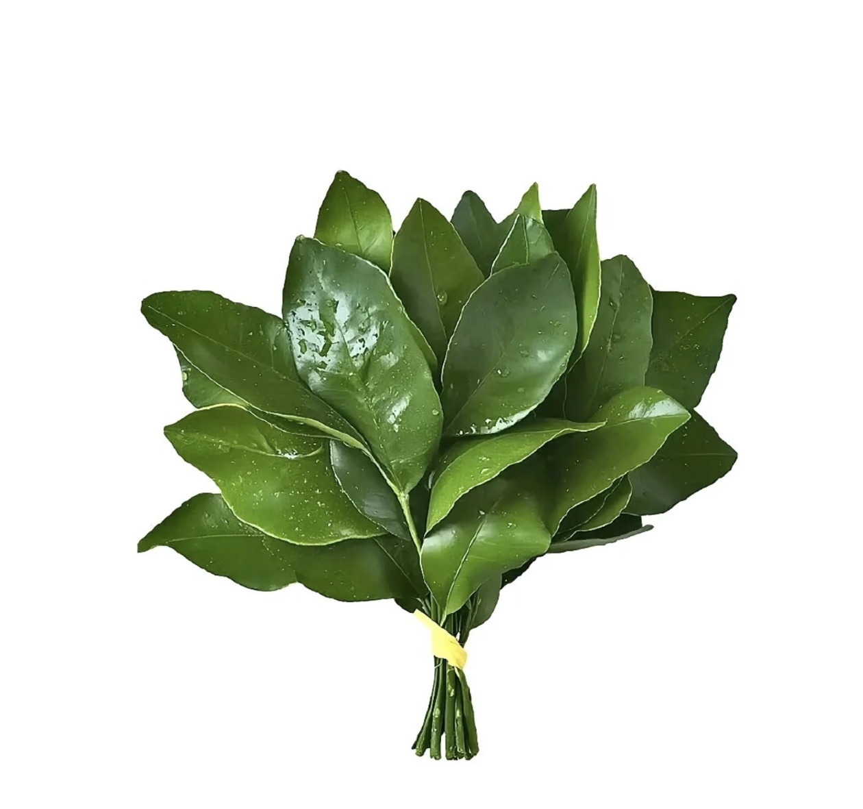 陪玩妹子心軟๑的照片1