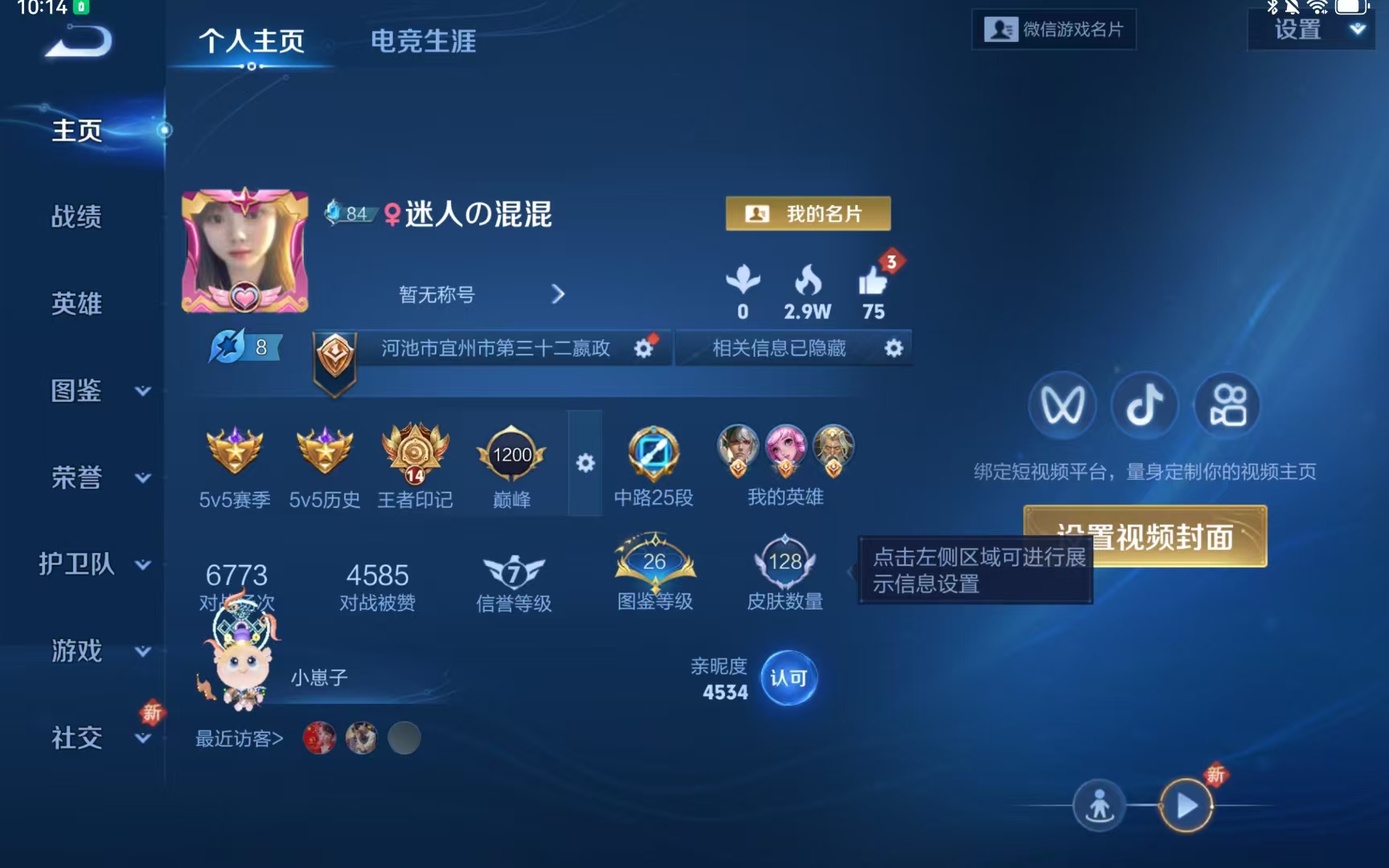 王者荣耀陪玩服务