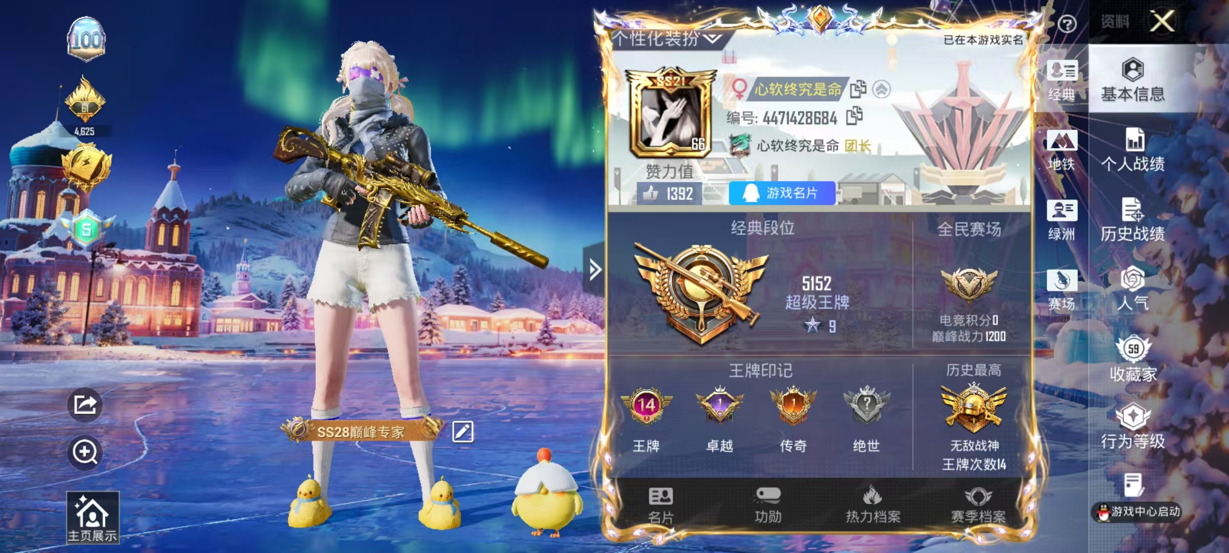 和平精英陪玩服务
