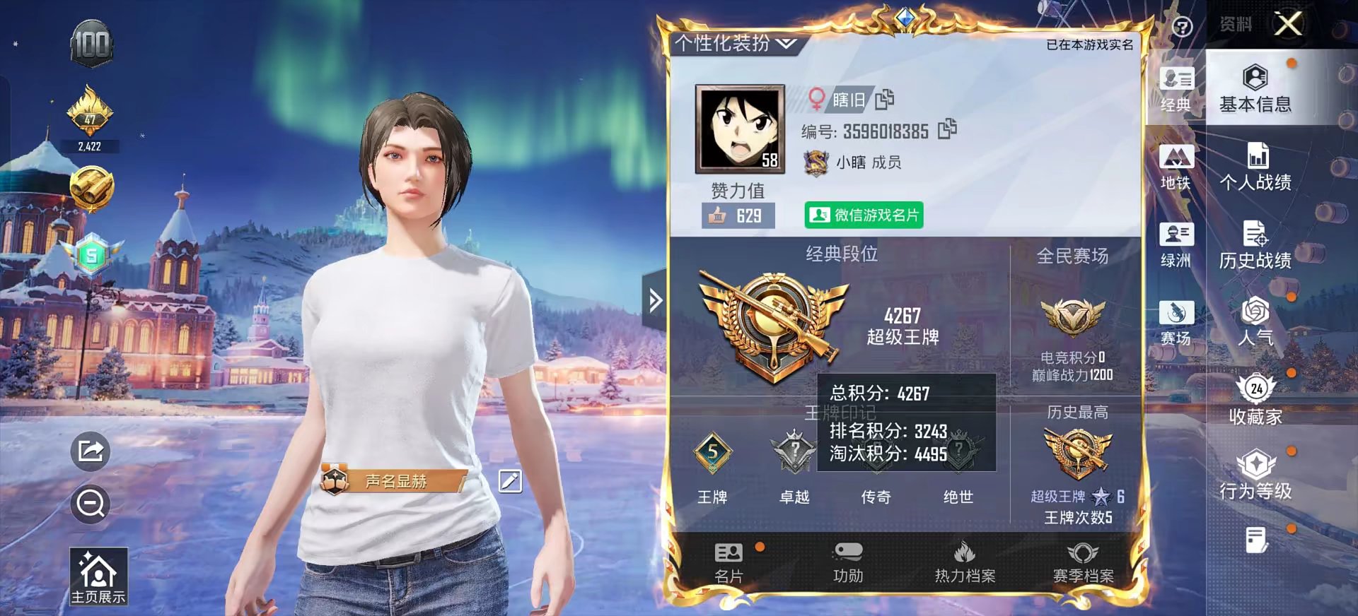 和平精英陪玩服务