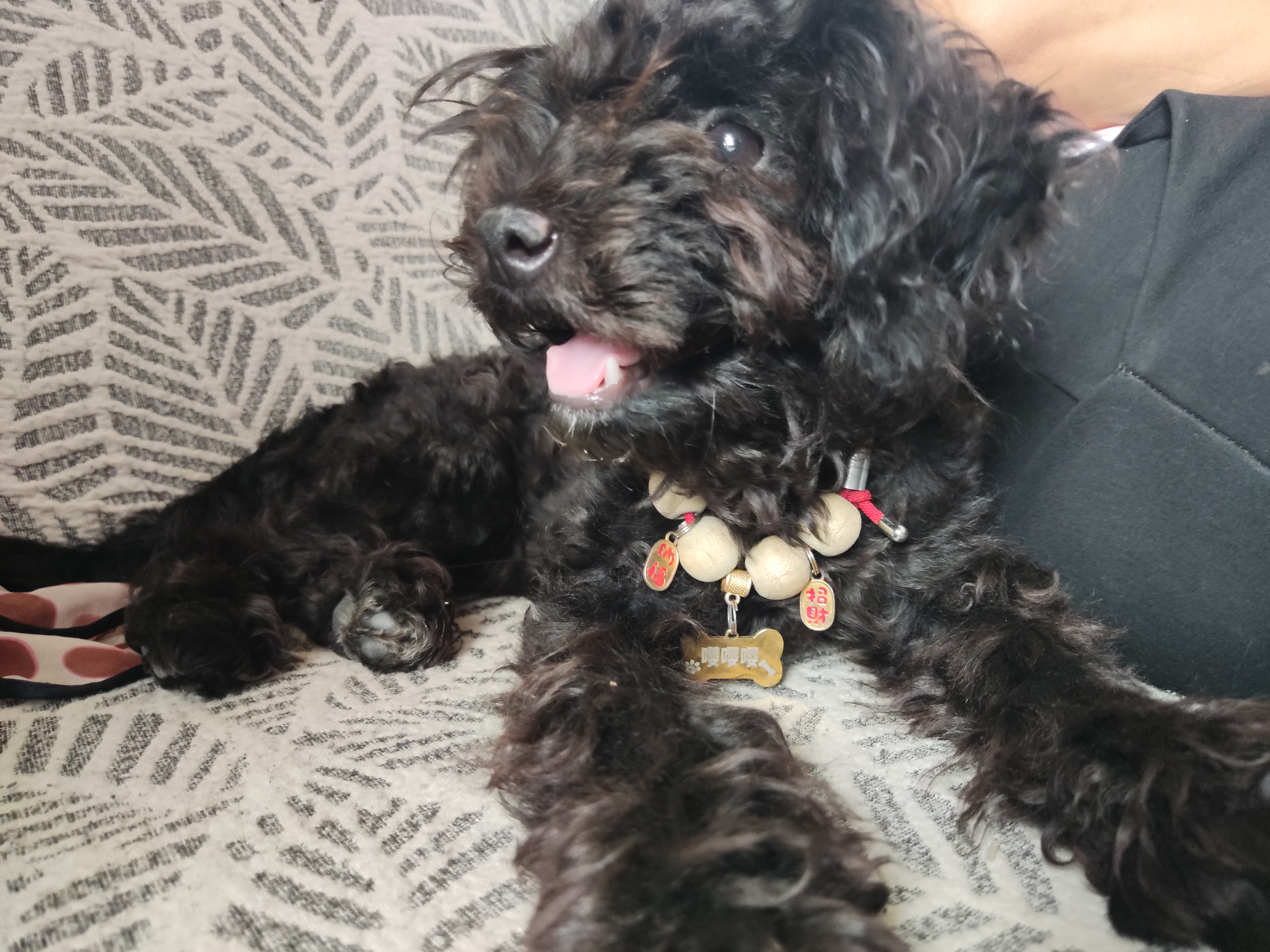 陪玩妹子想萌死谁啊的照片1