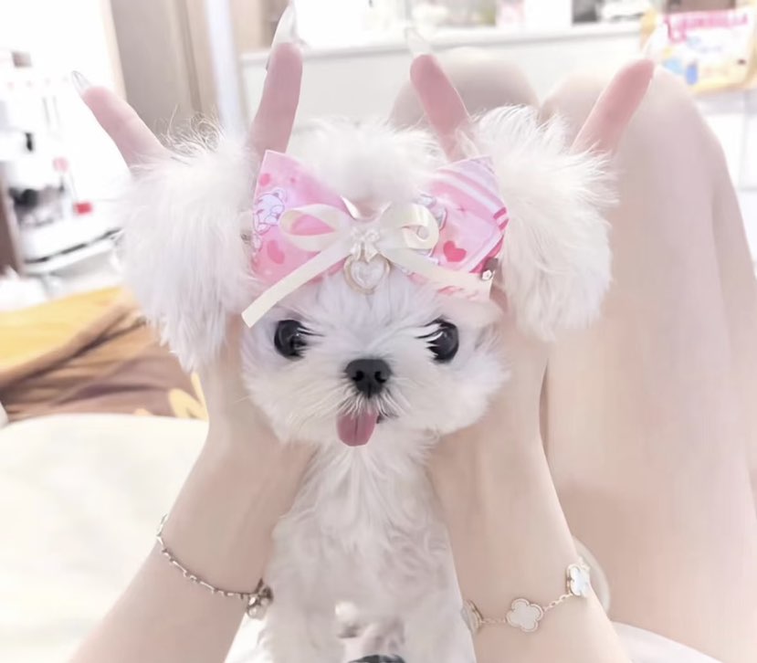 陪玩妹子泡泡糖の超甜的照片1