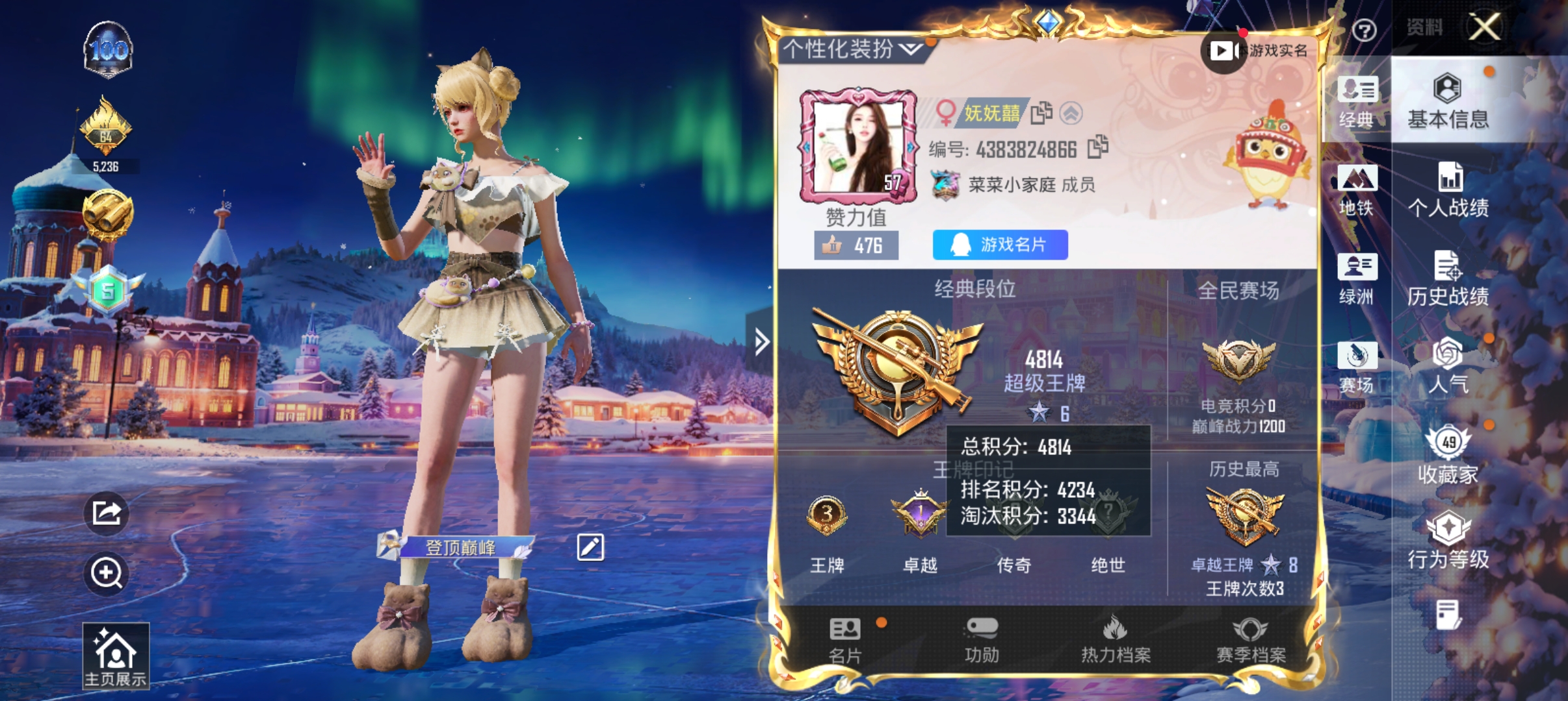 和平精英陪玩服务