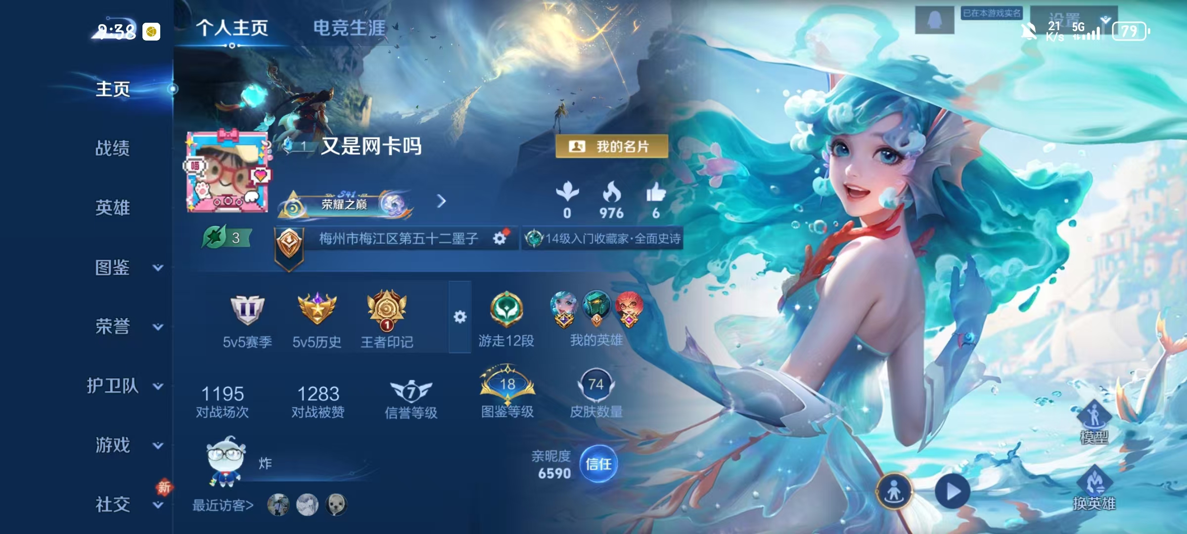 王者荣耀陪玩服务