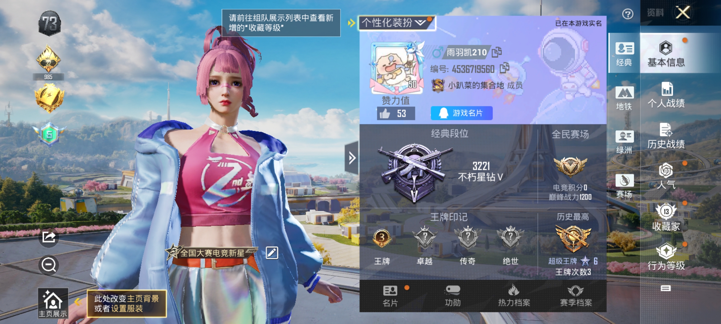 和平精英陪玩服务