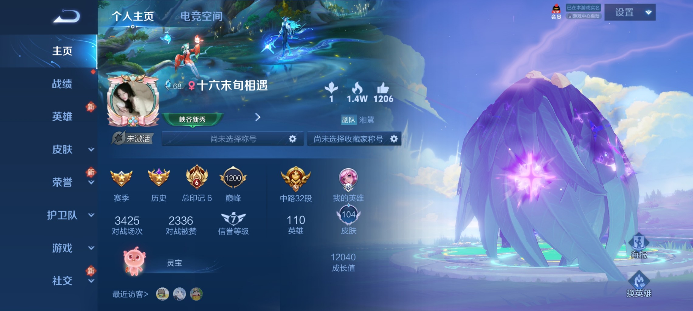 王者荣耀陪玩服务