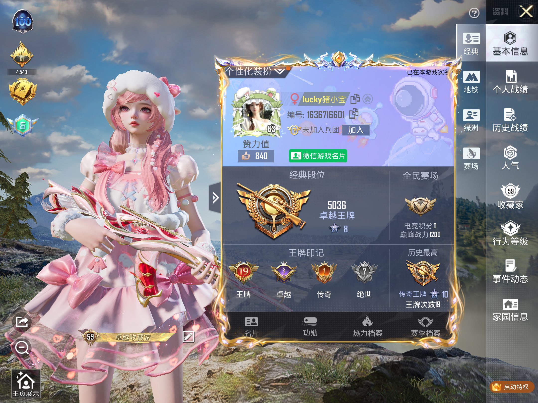 和平精英陪玩服务