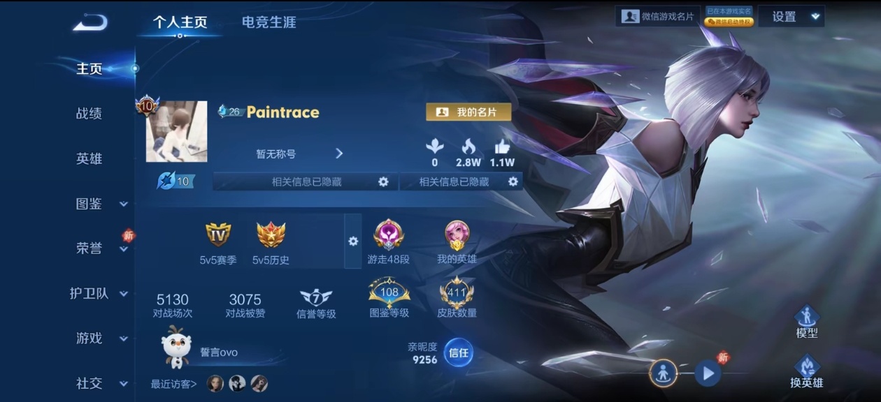 王者荣耀陪玩服务