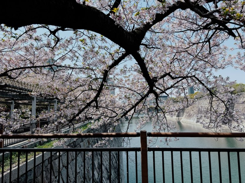 陪玩妹子乌萨奇～的照片3