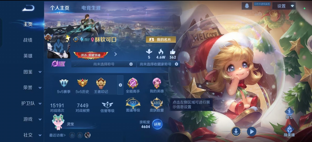 王者荣耀陪玩服务