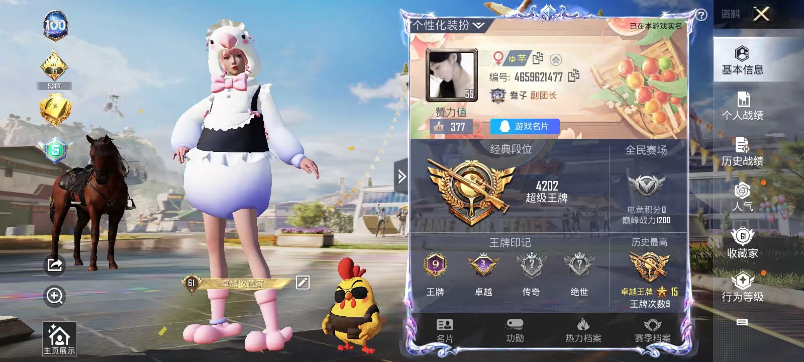 和平精英陪玩服务