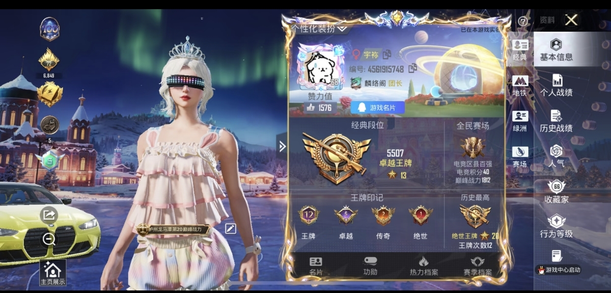 和平精英陪玩服务