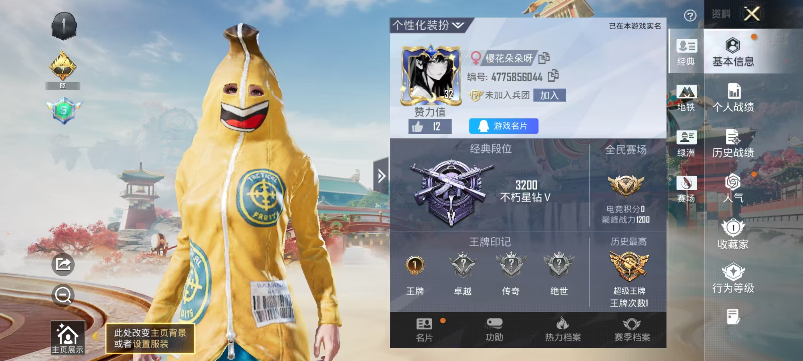 和平精英陪玩服务