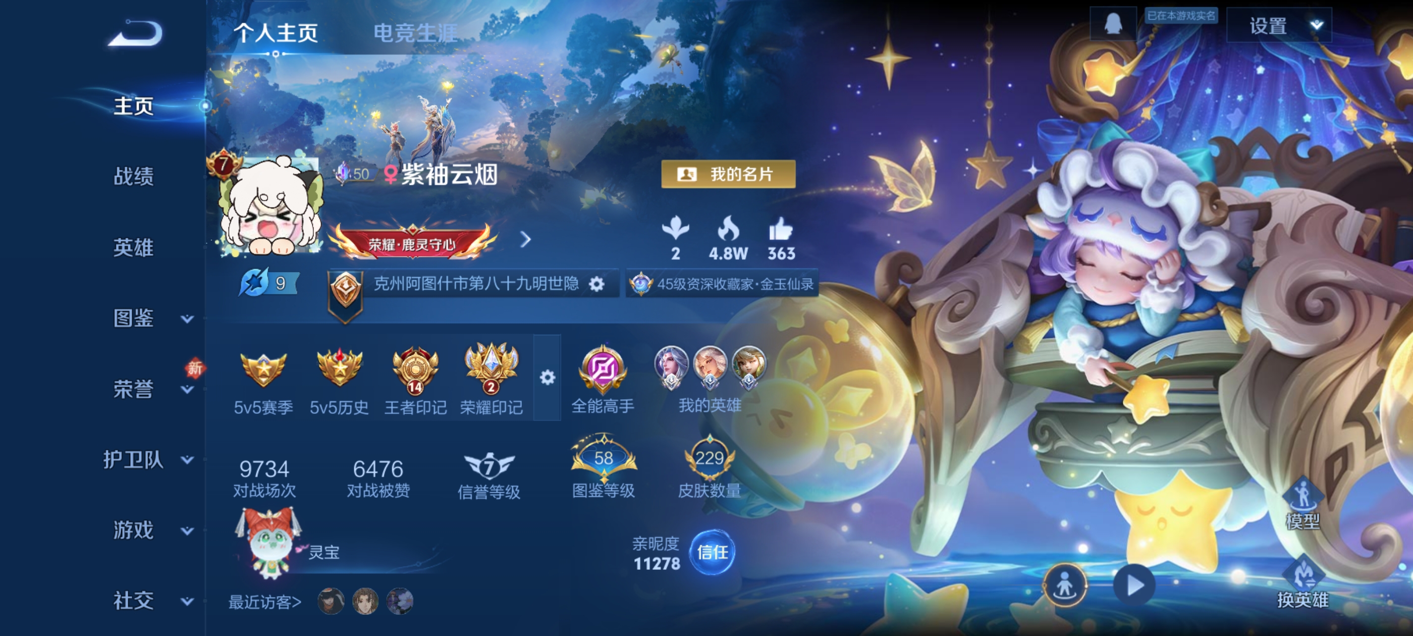 王者荣耀陪玩服务