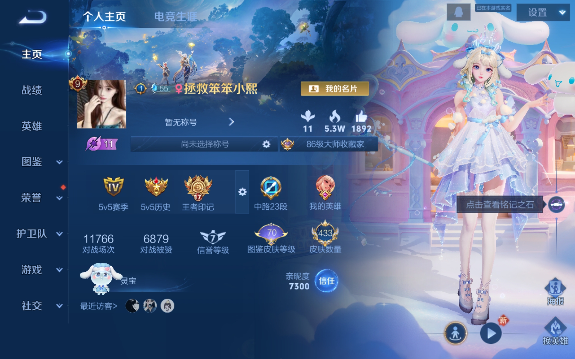 王者荣耀陪玩服务