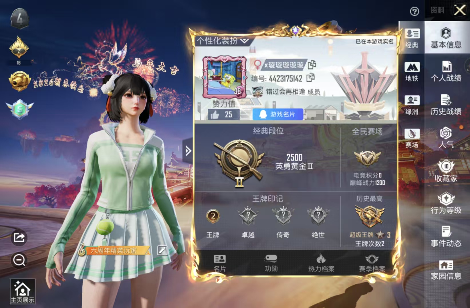 和平精英陪玩服务