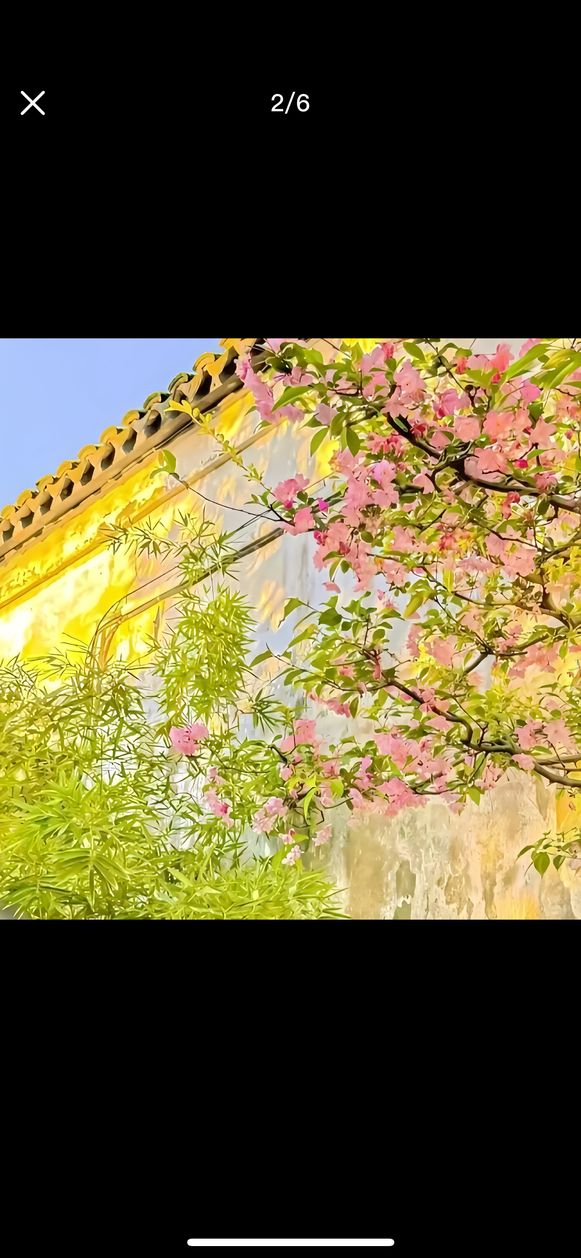 陪玩妹子慕宝的照片1