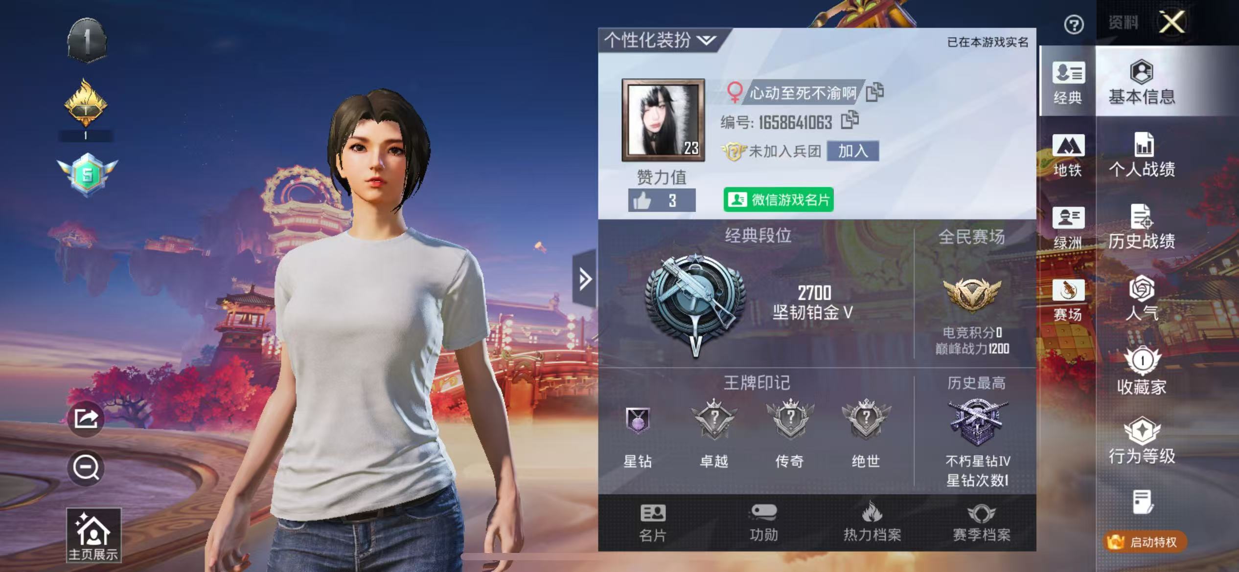 和平精英陪玩服务