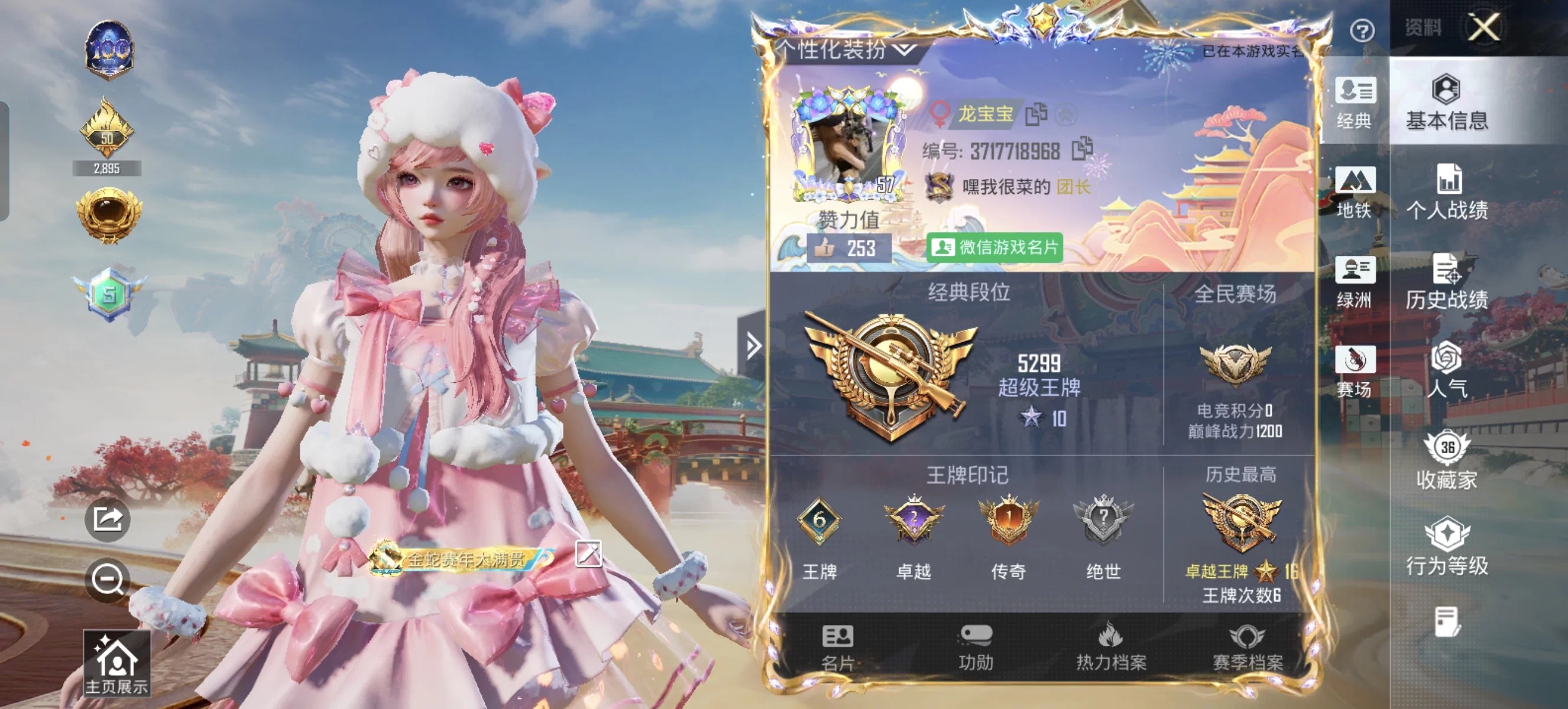 和平精英陪玩服务