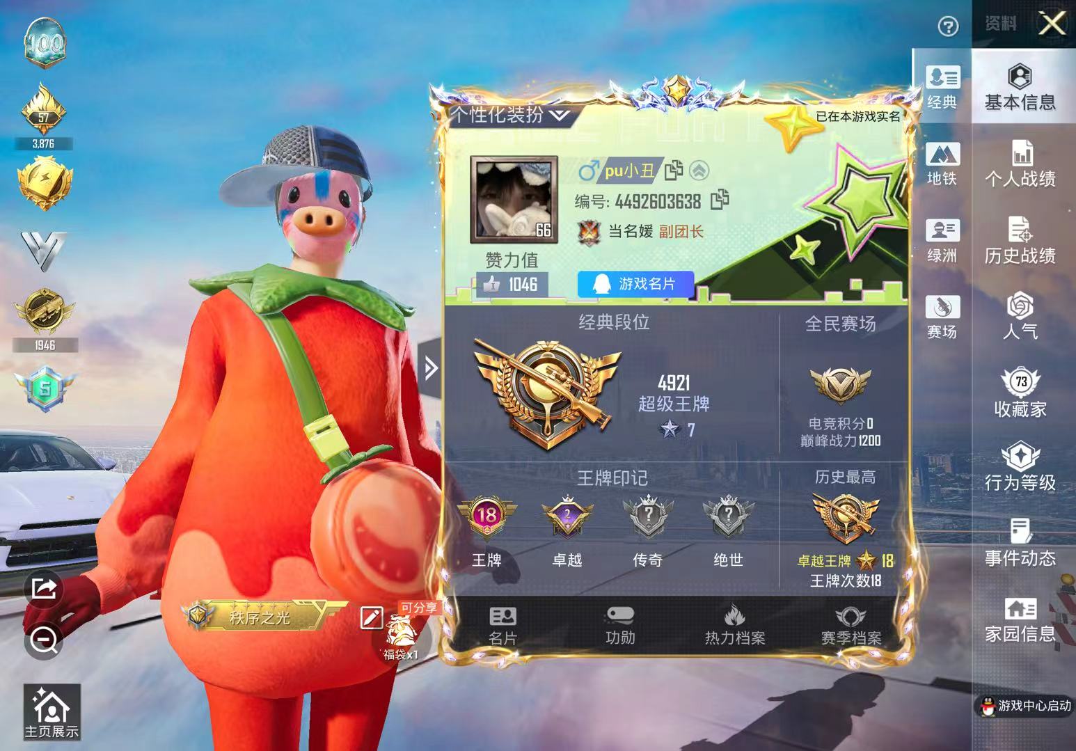 和平精英陪玩服务