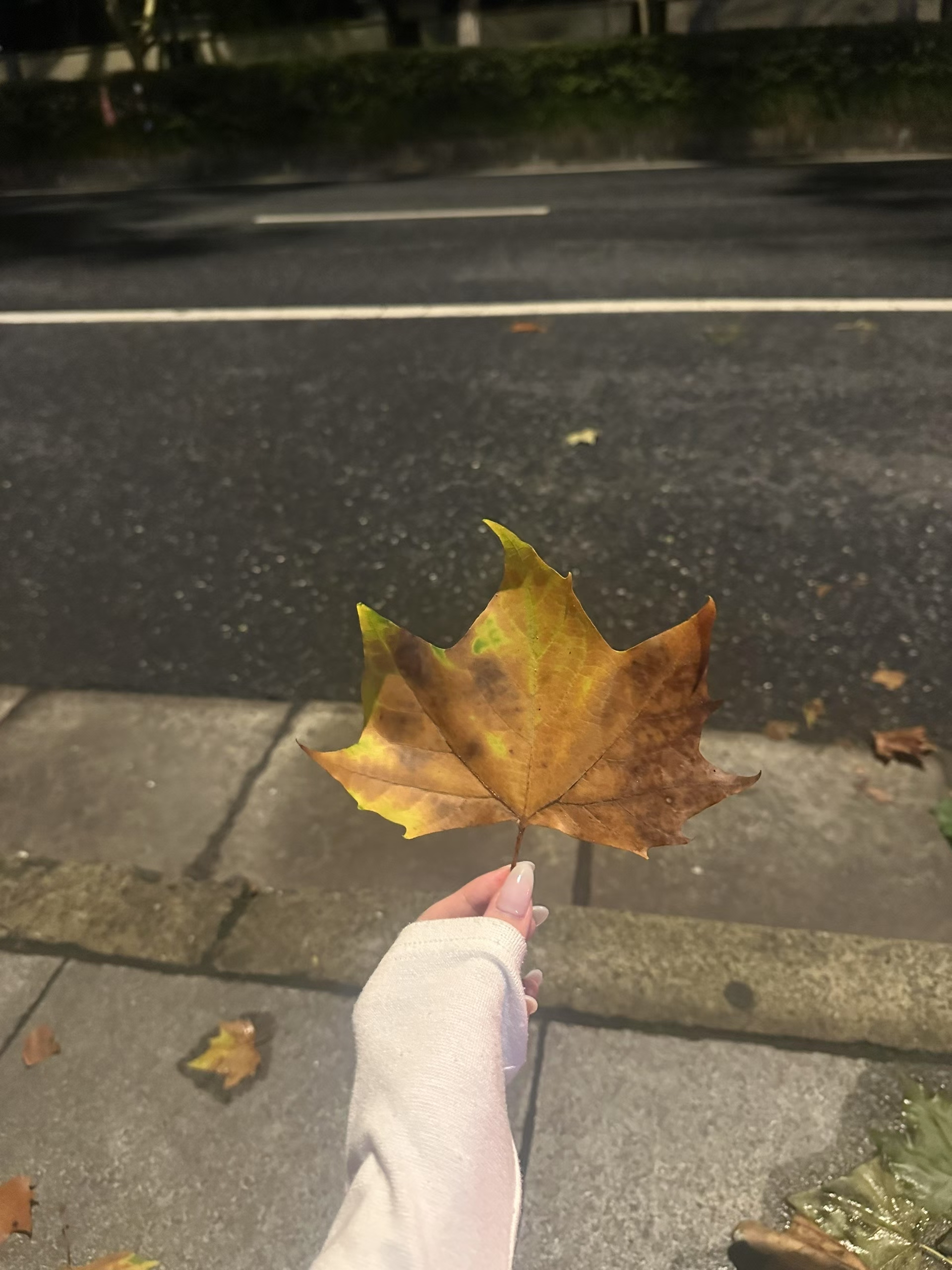 陪玩妹子Y·小美「不易」的照片1