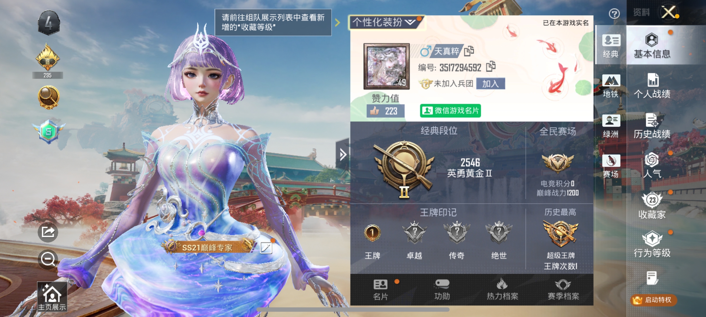 和平精英陪玩服务