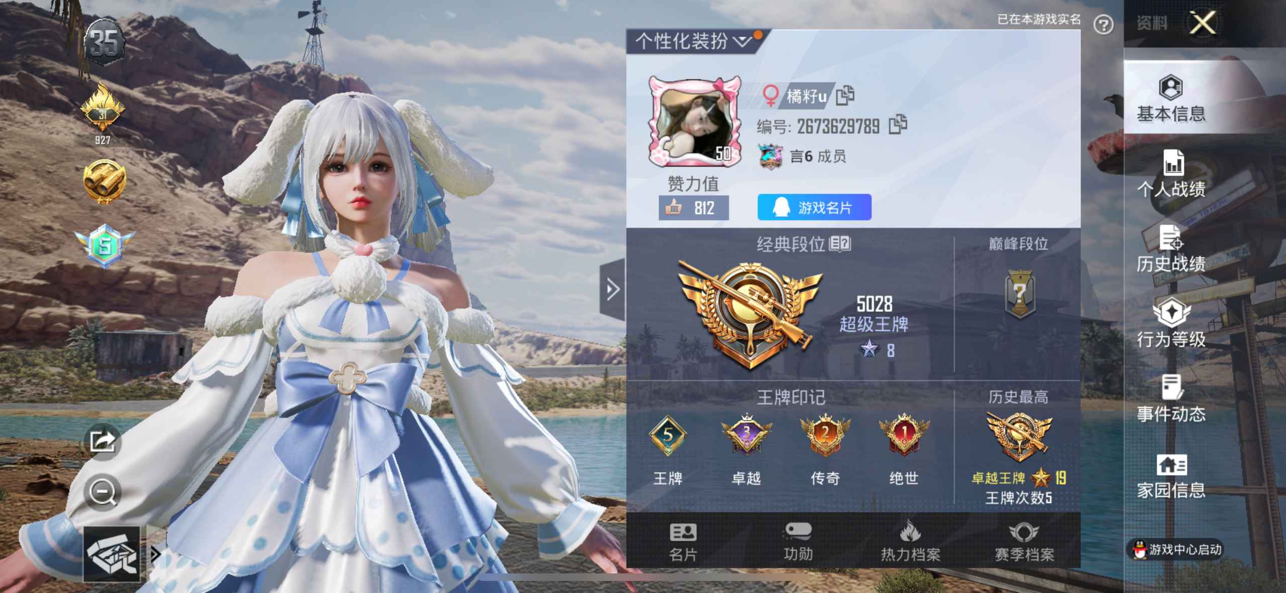 和平精英陪玩服务