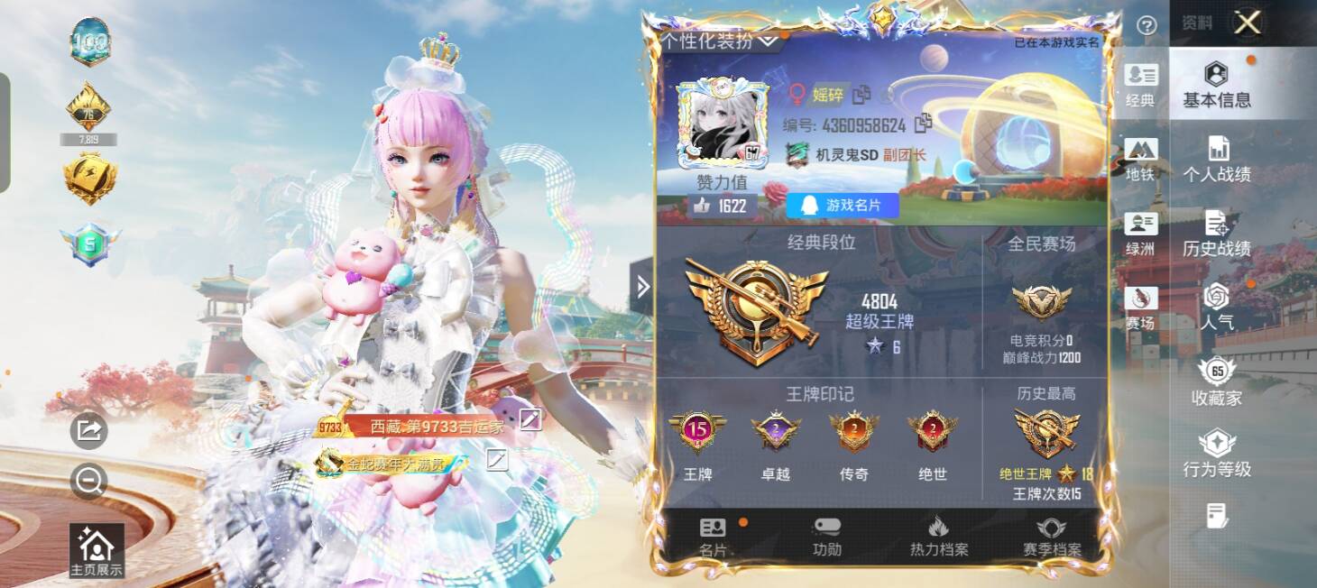 和平精英陪玩服务