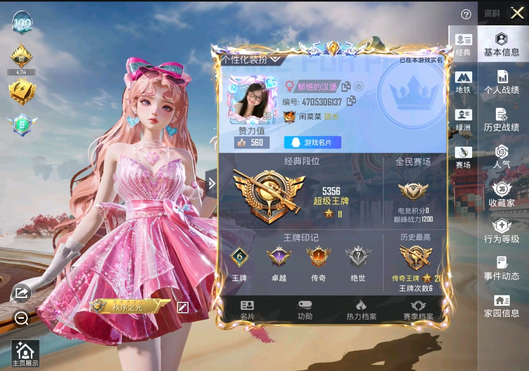 和平精英陪玩服务