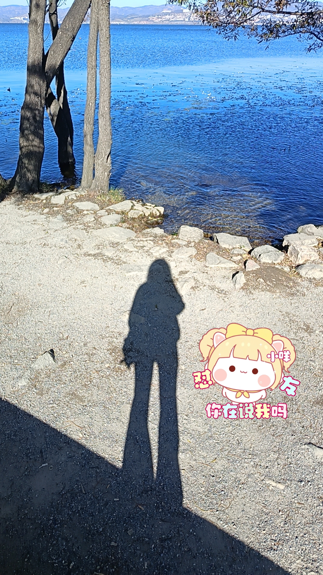 陪玩妹子小咩大王的照片2