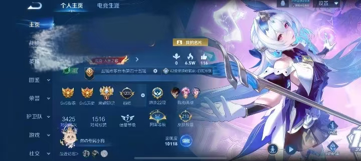 王者荣耀陪玩服务