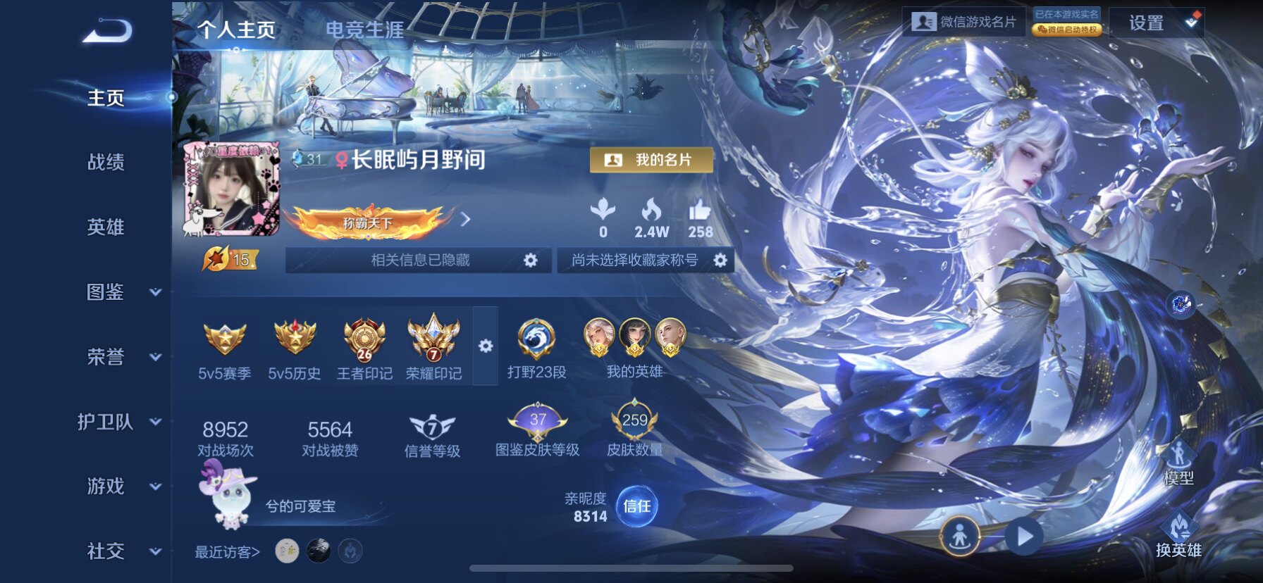 王者荣耀陪玩服务