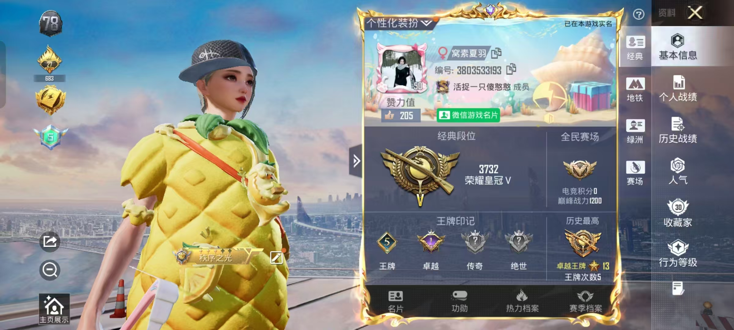 和平精英陪玩服务