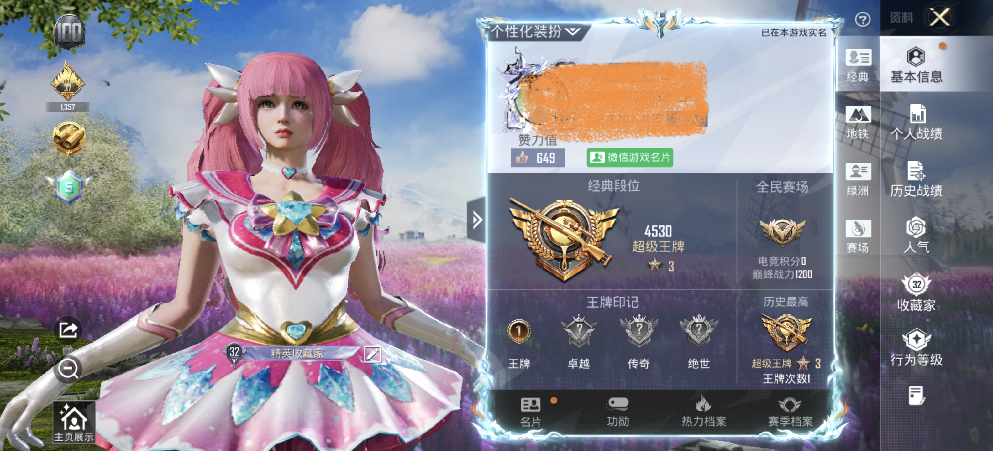 和平精英陪玩服务